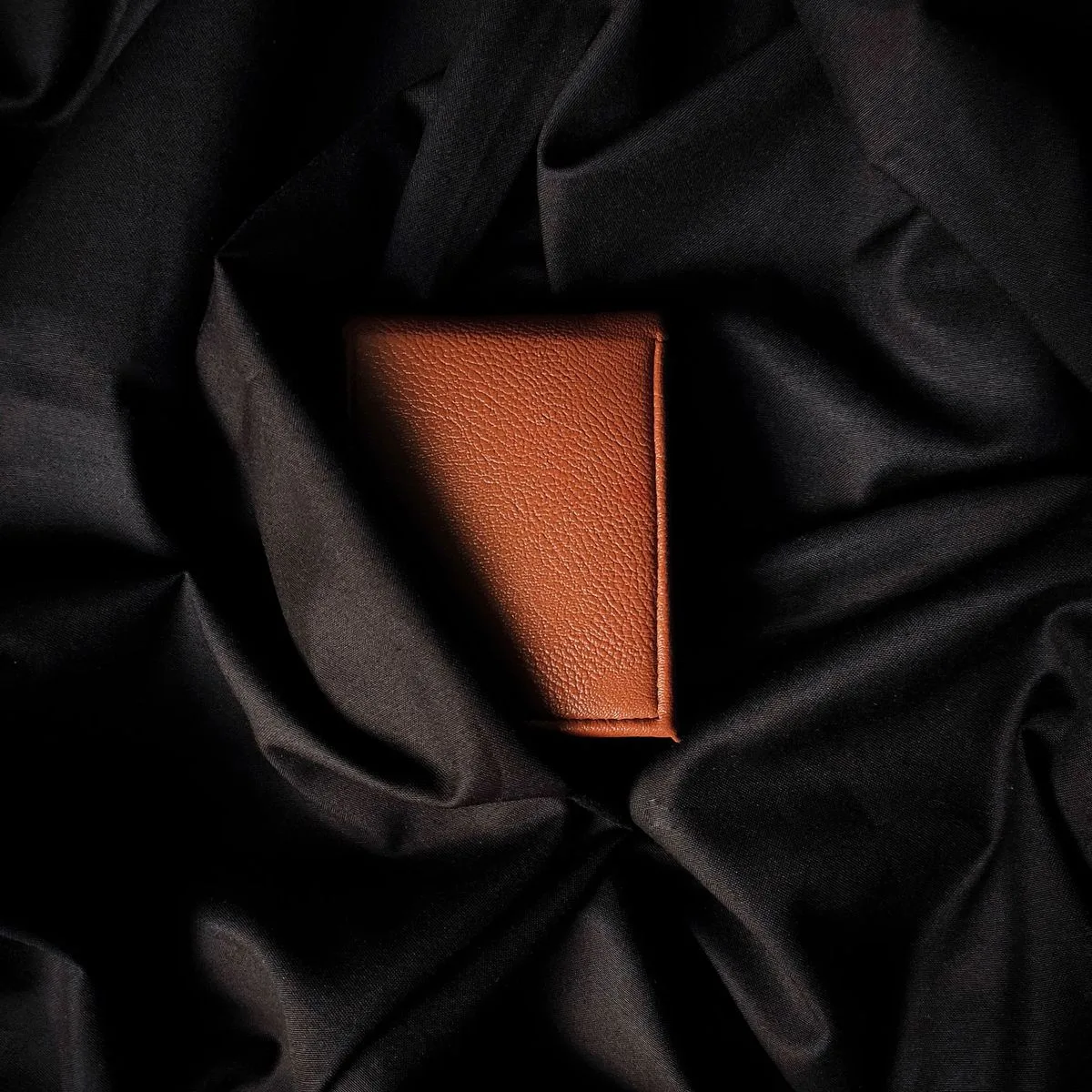 Midnight Card Holder